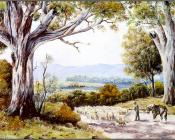 Australian Bush - 乔治·菲利普斯